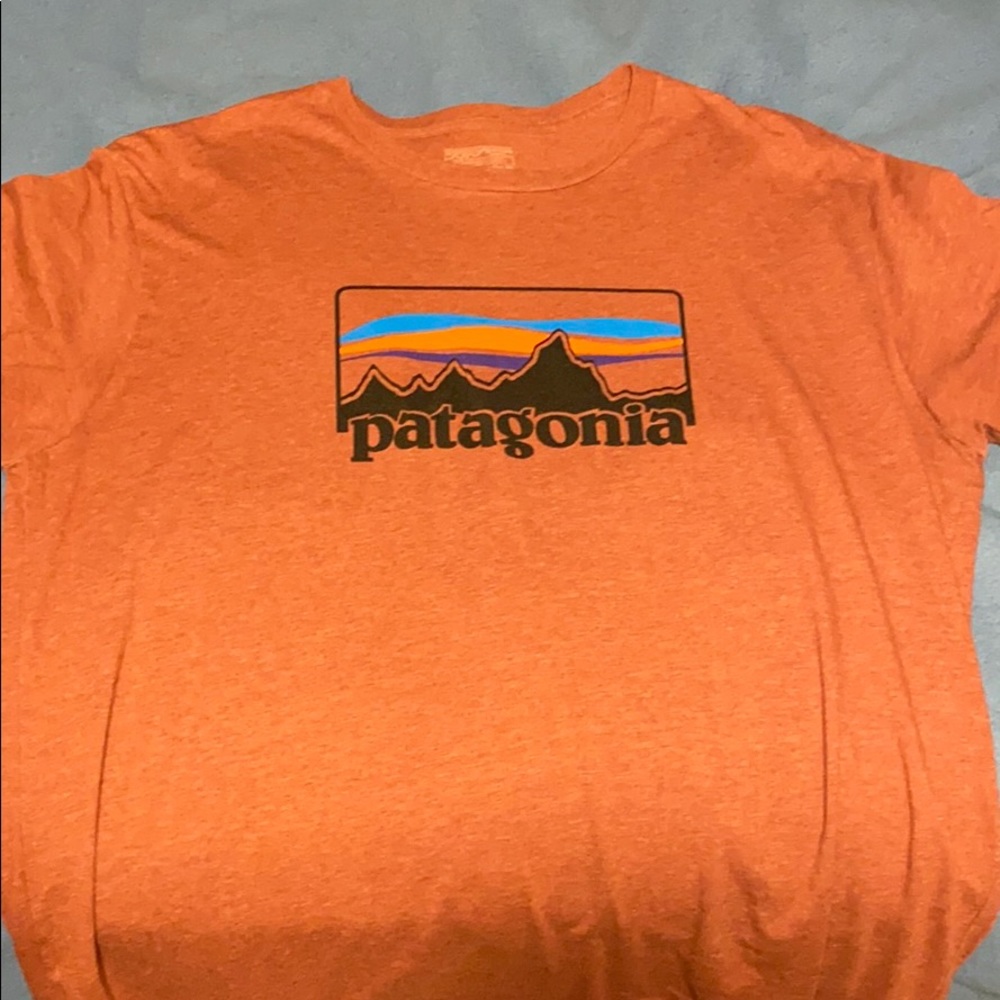 Patagonia T-shirt